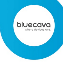 Cookieless Device Identification with BlueCava