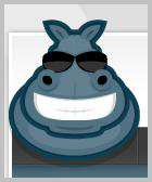 Network Hippo: Social Networking CRM